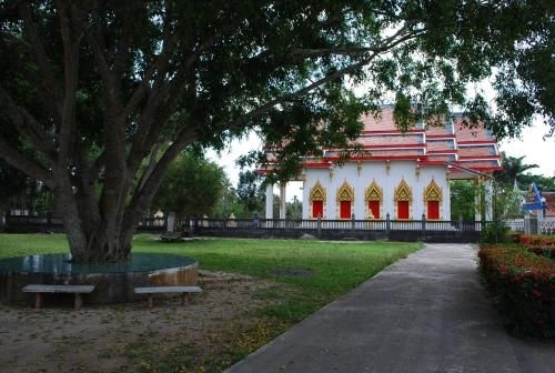ซาลช่า โฮสเทล (Salsa Hostel)1
