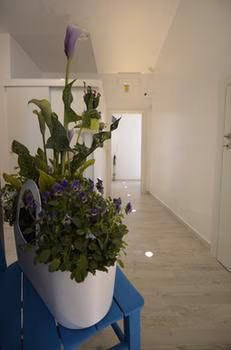 Dima Residence0
