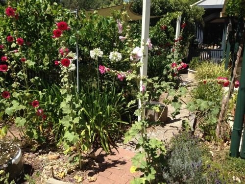 Clarevale Cottage B&B1