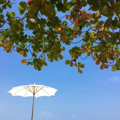 Ta-Lay Time KohMak4