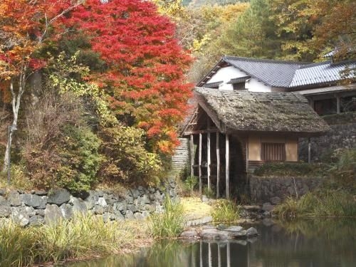 Family Resort in Kuma Kogen4