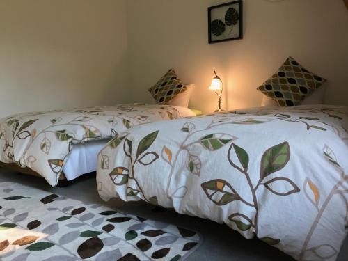 แบ็คคันทรี ลอดจ์ ฮาคุบะ (Backcountry Lodge Hakuba)4