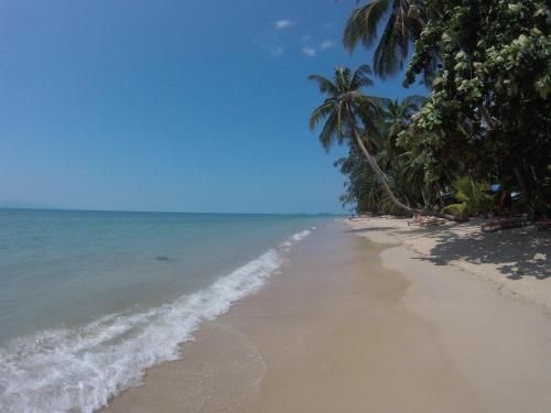 Silvermoon Beach & Jungle Resort4
