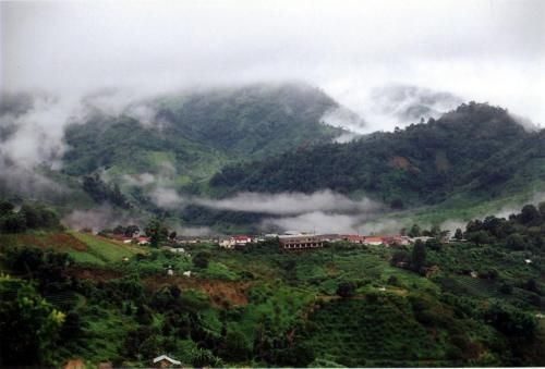 แม่สลอง วิลล่า (Maesalong Villa)0