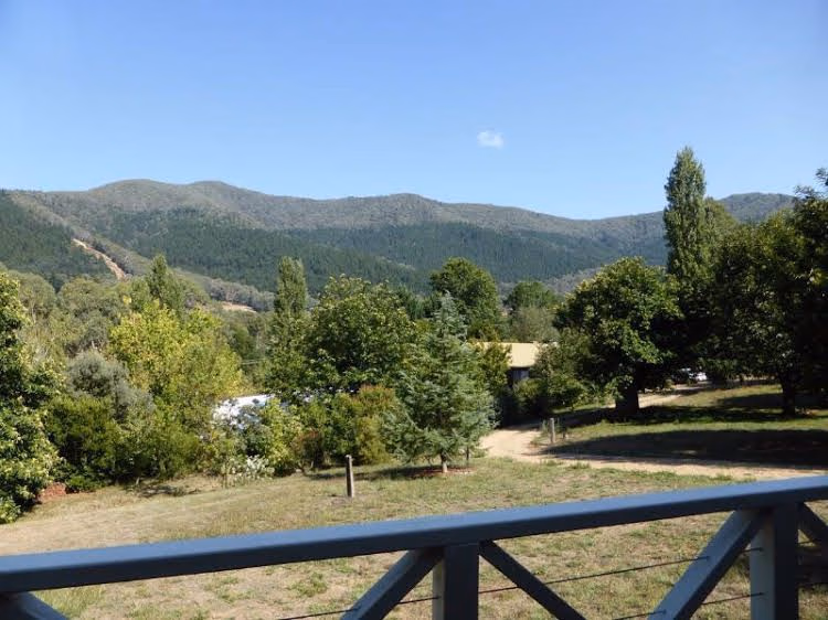 Abby's Cottages0