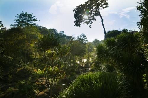 ภูเรือ รีสอร์ท (Phurua Resort)3