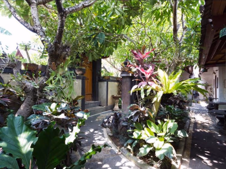 Dana Guesthouse0