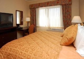 Comfort Inn1