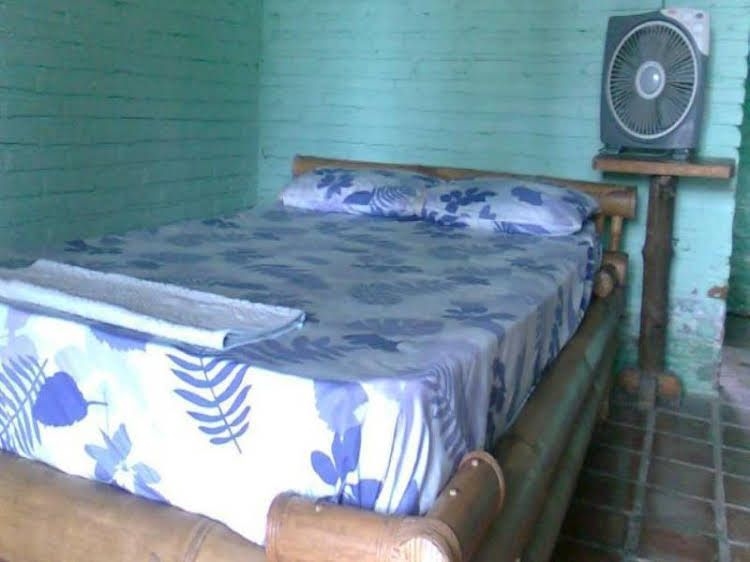 Hepi Bungalow Lovina0
