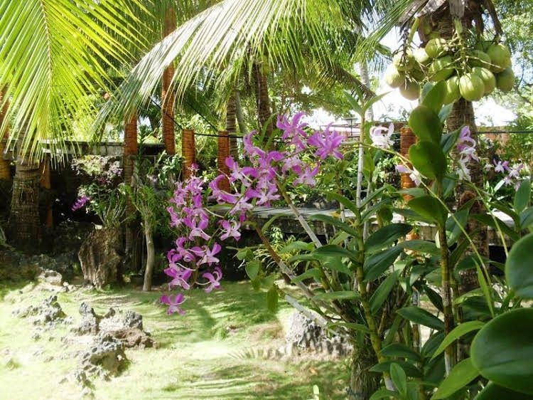 Maia's Beach Resort0
