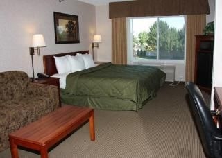 Comfort Inn & Suites1
