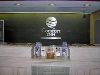 Comfort Inn3