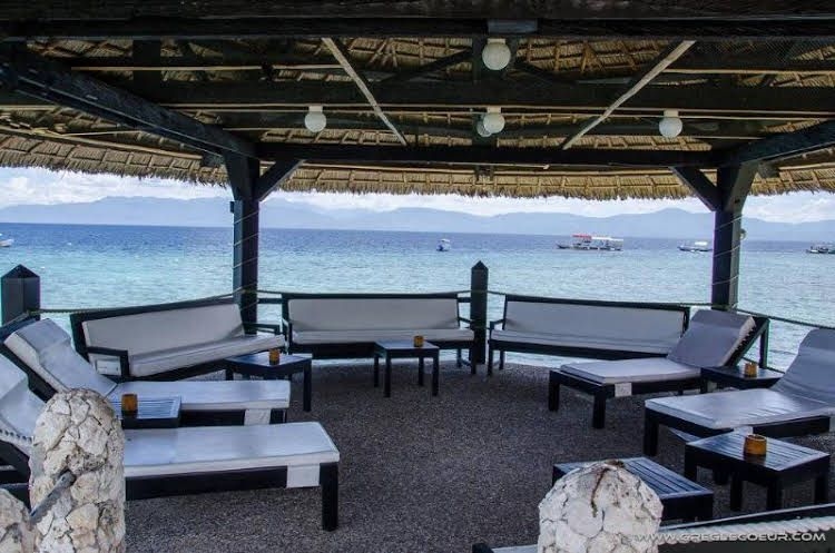 Dolphin-House Resort-SPA-Diving0