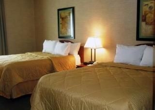 Comfort Inn & Suites1