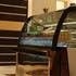Al Muhaideb Suwaidy 25 Apartment0