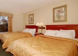 Comfort Inn Jersey Shore1