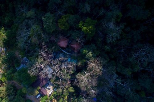 ร็อค แอนด์ ทรีเฮ้าส์ รีสอร์ท (Rock and Tree House Resort)2