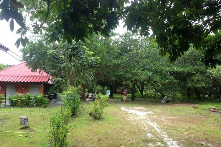 Lucky resort0