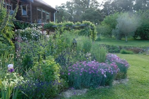 Birdwing Bed and Breakfast3