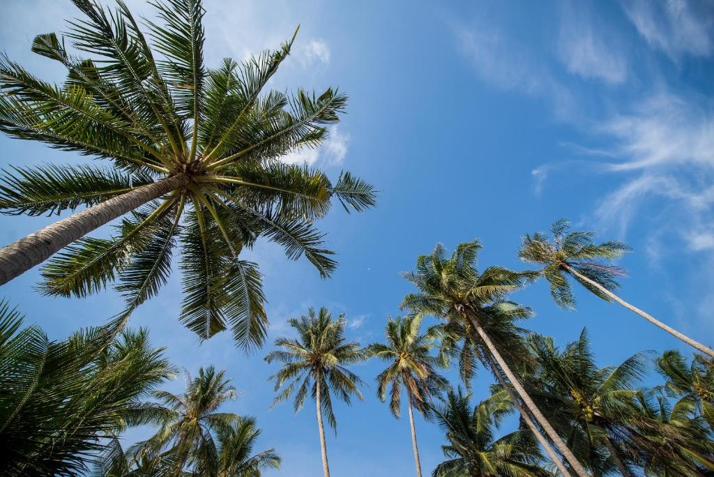 ซีวานา เกาะหมาก บีช รีสอร์ท (Seavana Koh Mak Beach Resort)4