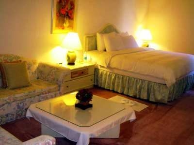The Premier Hotel4