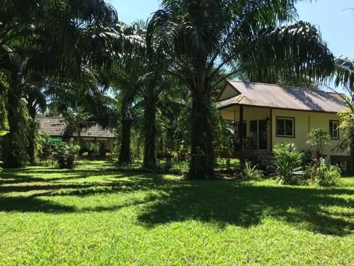 Khao Sok Palm Garden Resort0