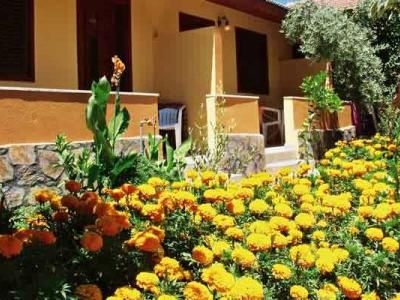 Ozlem Garden1