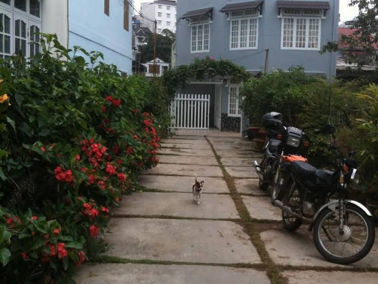 Dalat Easy Friend Hostel0