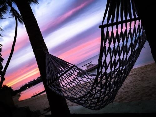 เดอะ ชอร์ สมุย (The Shore Samui Inn)0