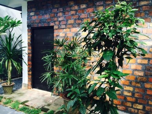 Mo de Loft1