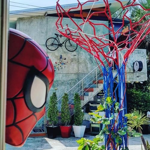 ทุมมี่เฮ้าส์ (Tummi House)0