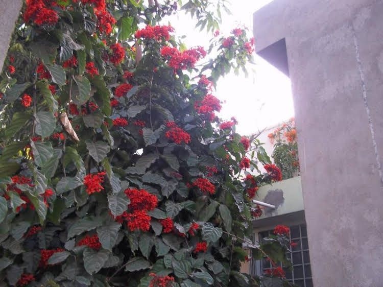 Raja Rani Homestay0