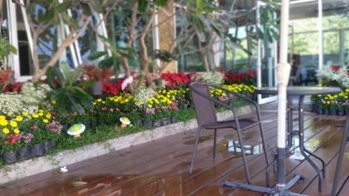 โรงแรมเดอะ บลิส เลย ลีฟวิ่ง (The Bliss Loei Living Hotel)4