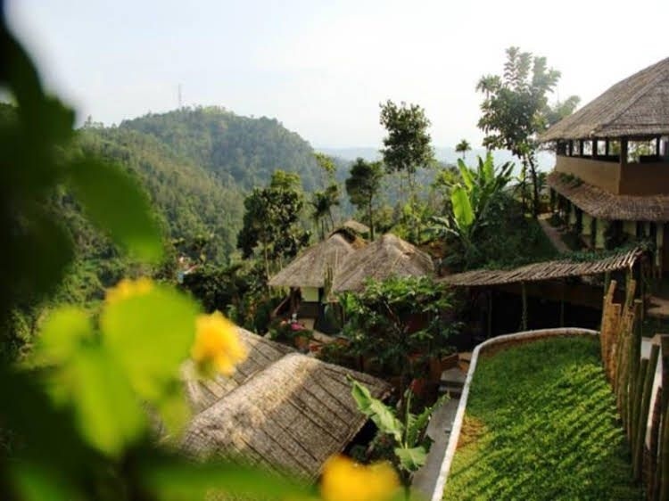Eco Tones Camps0