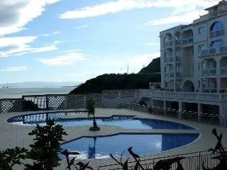 Golden Tulip Sabri4