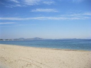 Golden Coast3