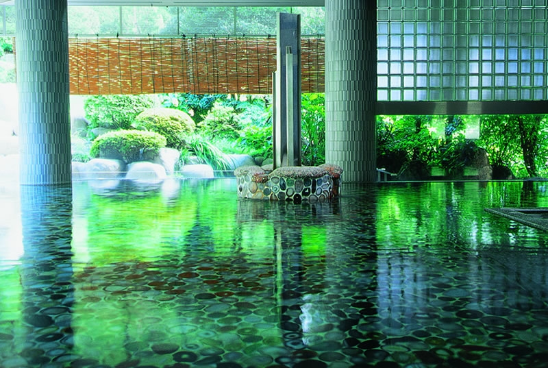 Tamatsukuri Grand Hotel Choseikaku1
