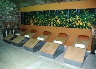 Regina Spa2