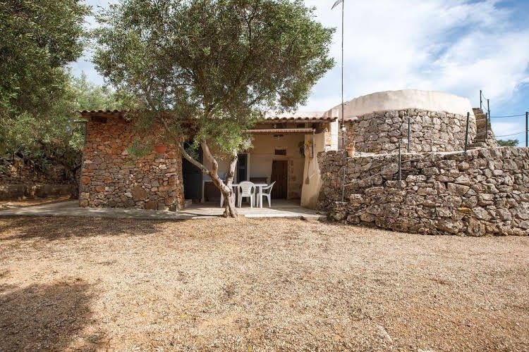 Pajara La Turre0