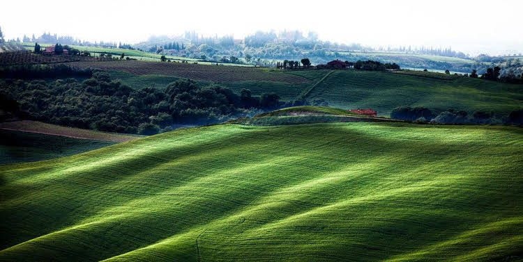 Cortona Village Heights0