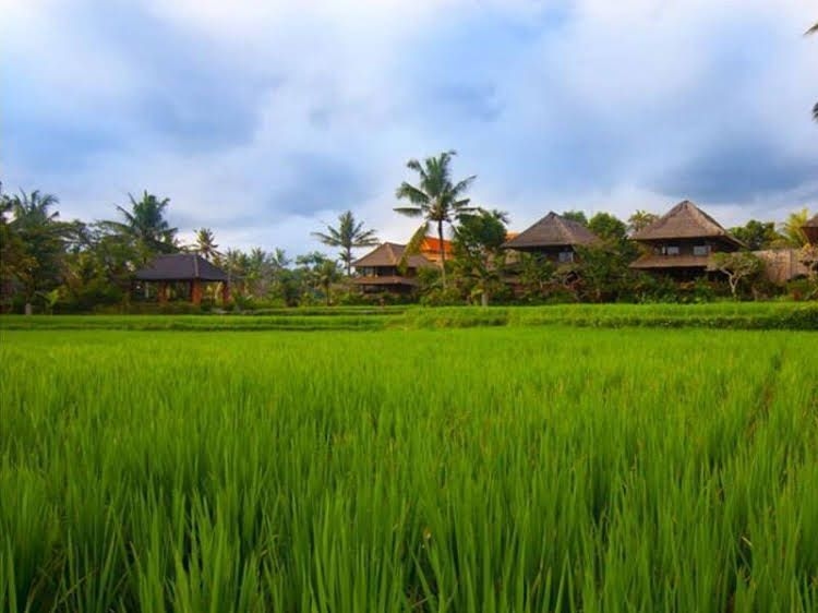 Agung Raka Villa0