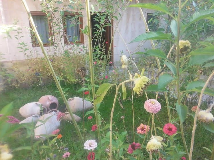 International Guest House0
