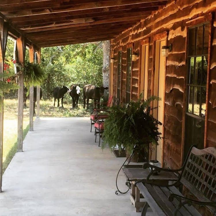 Night Bird Ranch0