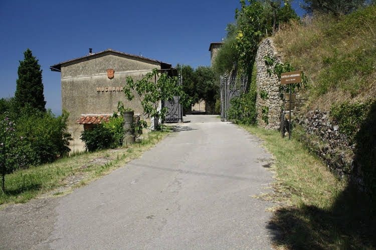 Castello Di Mugnana0