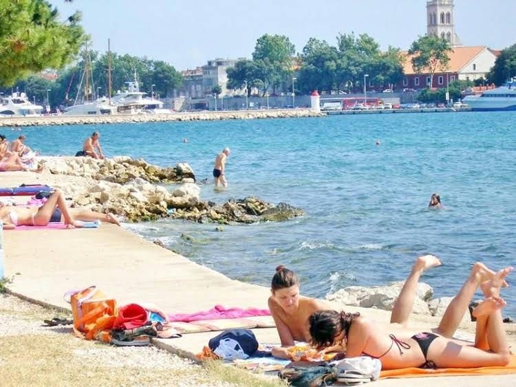 Apartment Palcic0