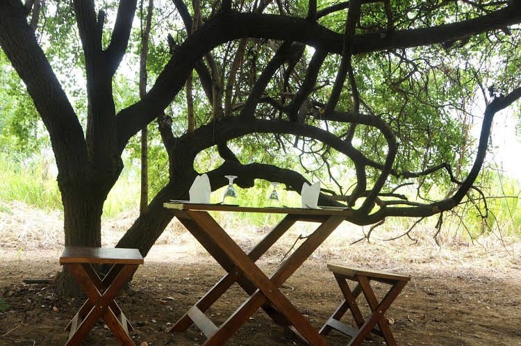 Sigiriya Lodge Hostel0