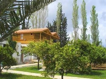 Portakal Bahcesi0