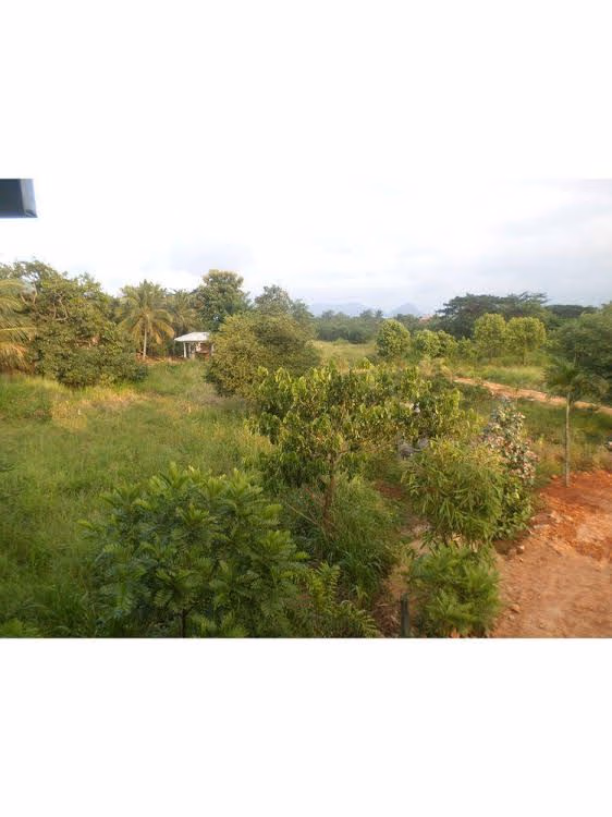 Vista Devika Village0