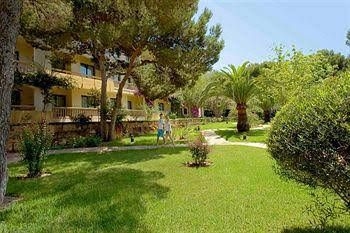 Allsun Illot Park0
