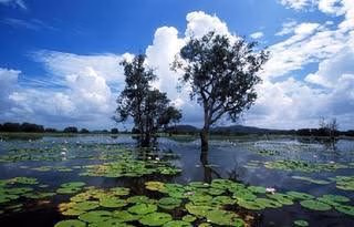 Davidsons Arnhemland Safaris0